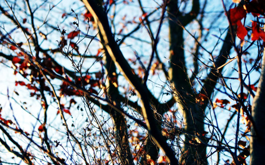 704024 (a): :1920x1200